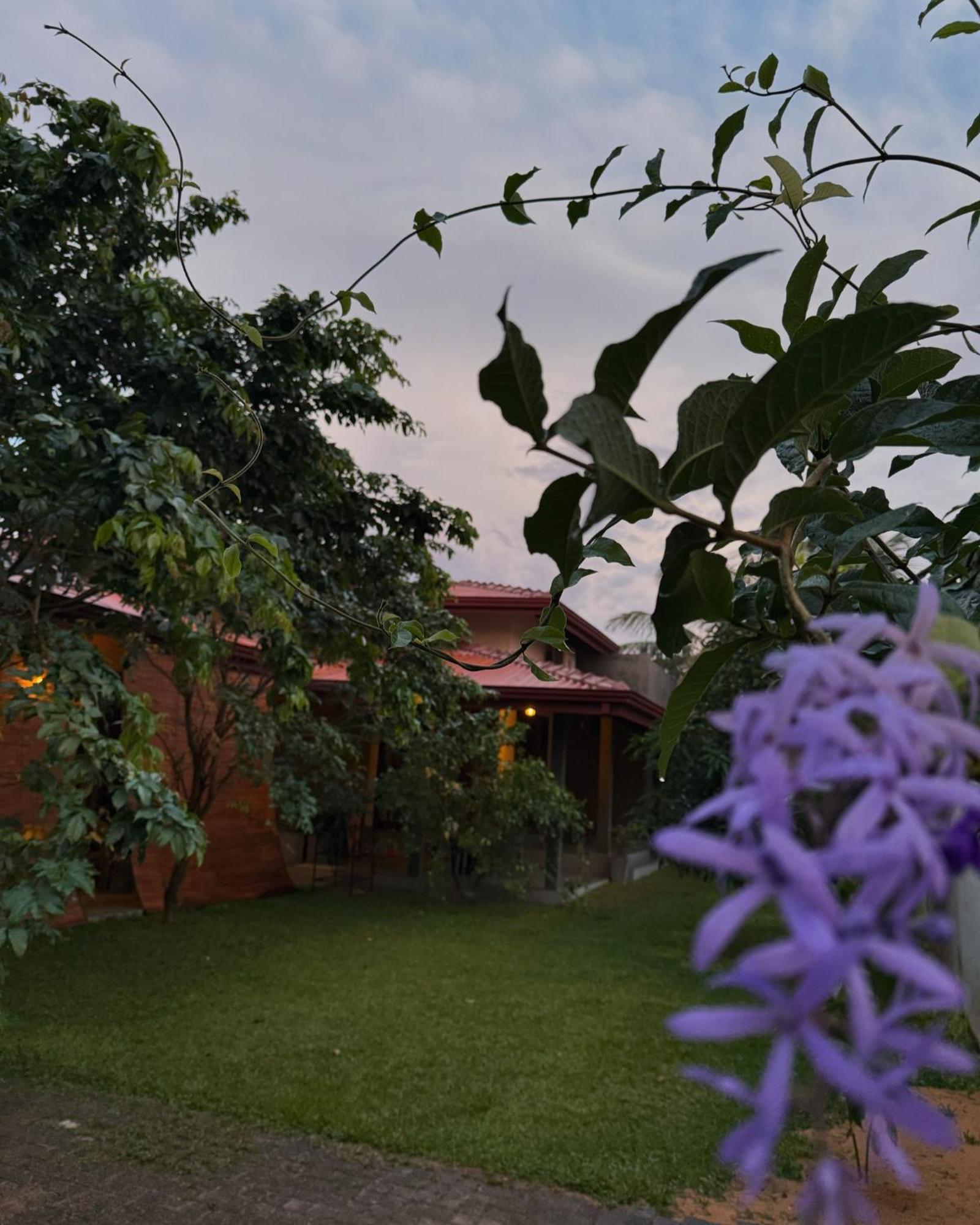 Negombo 146 Homestay 외부 사진
